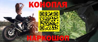 мяу мяу мука Владивосток